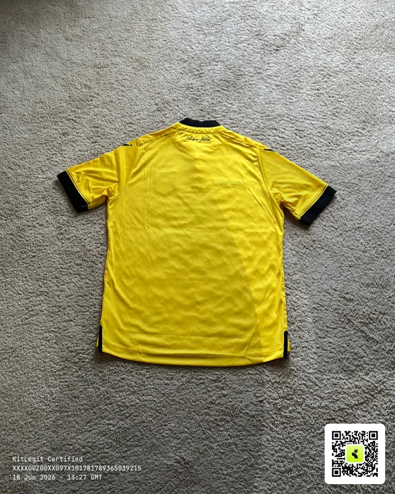 Rear of shirt