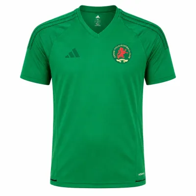 Presentation image of Aston Villa 2024/25 Adidas Special Edition Goalkeeper Shirt - Men's Medium