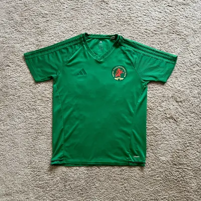 Front view of Aston Villa 2024/25 Adidas Special Edition Goalkeeper Shirt - Men's Medium